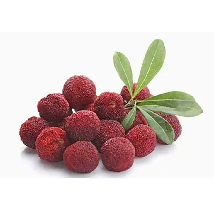 Bayberry Extract