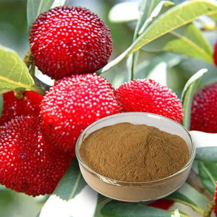 Bayberry Extract