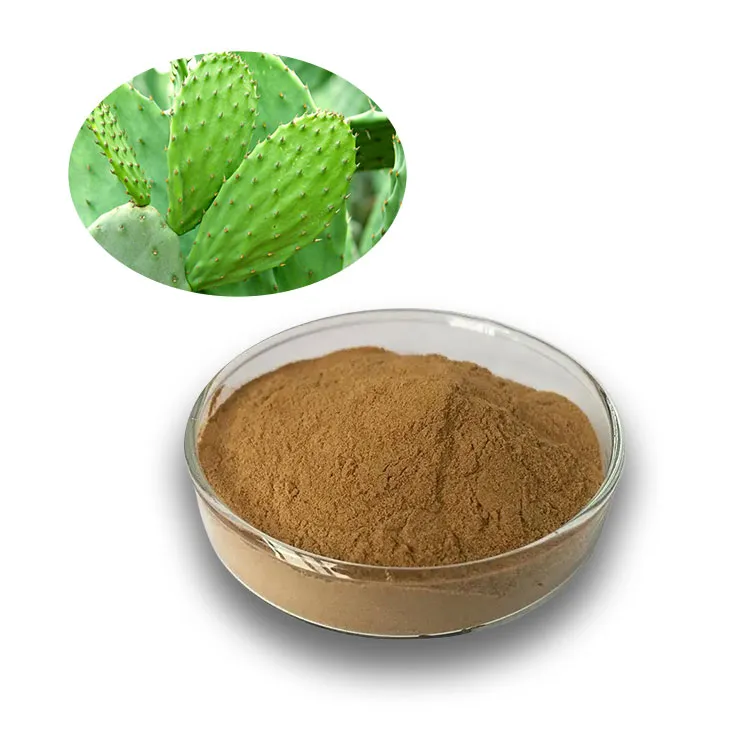 Cactus Extract