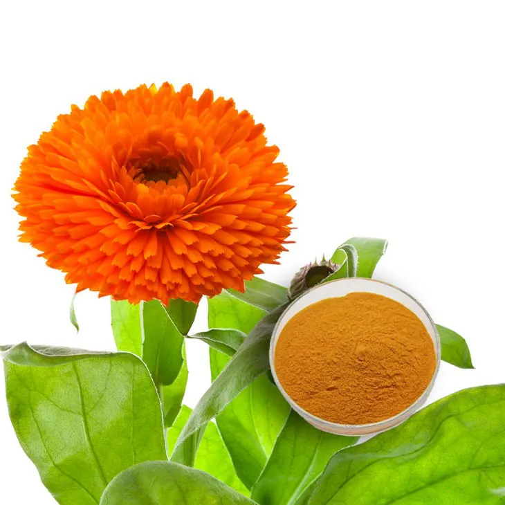 Calendula Extract