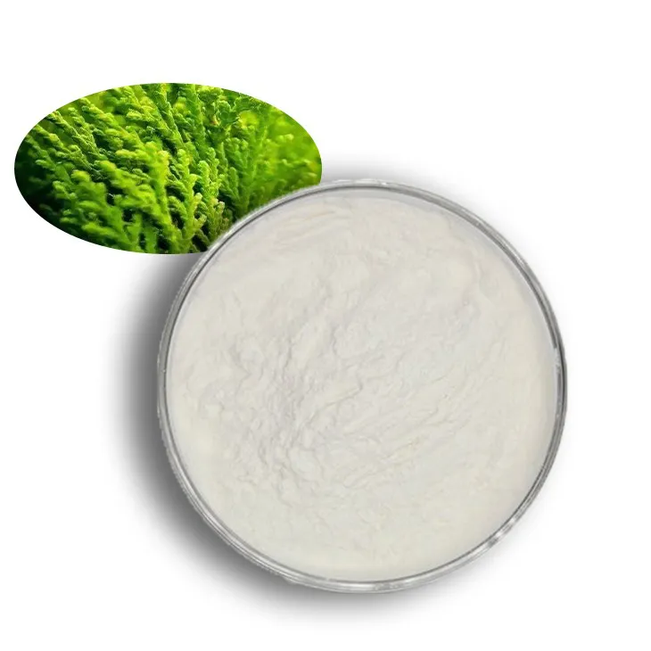 Carrageenan Extract Powder