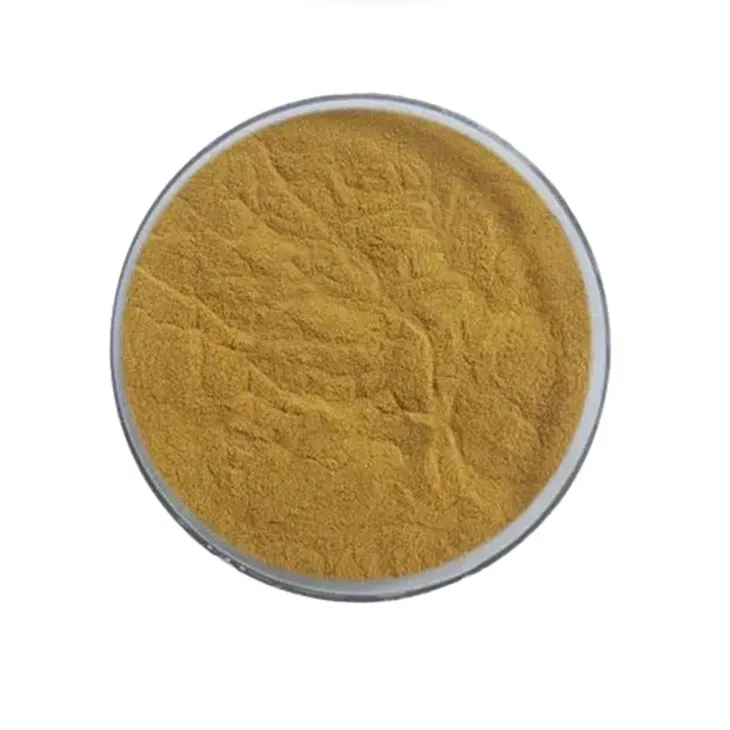 Cassia Seed Extract