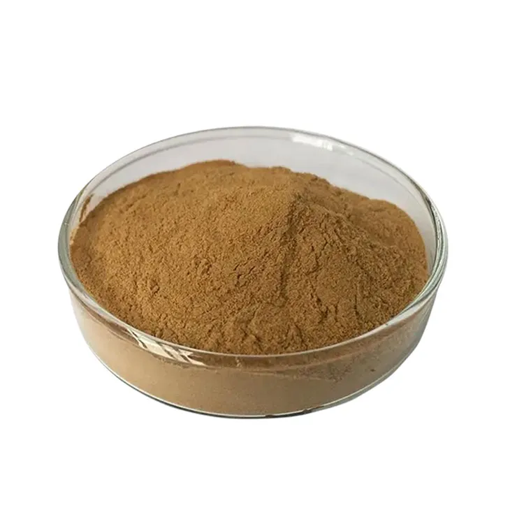 Chasteberry Extract