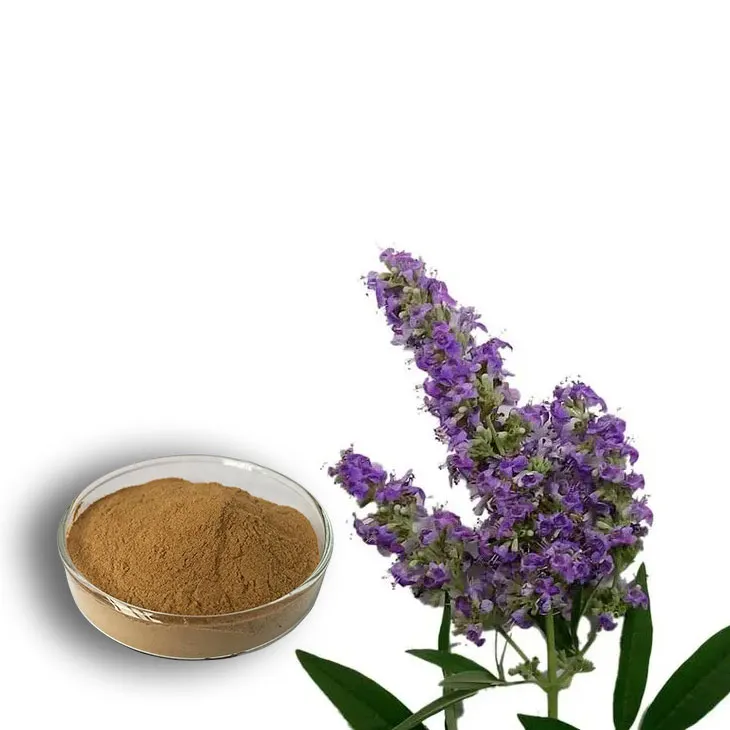 Chasteberry Extract