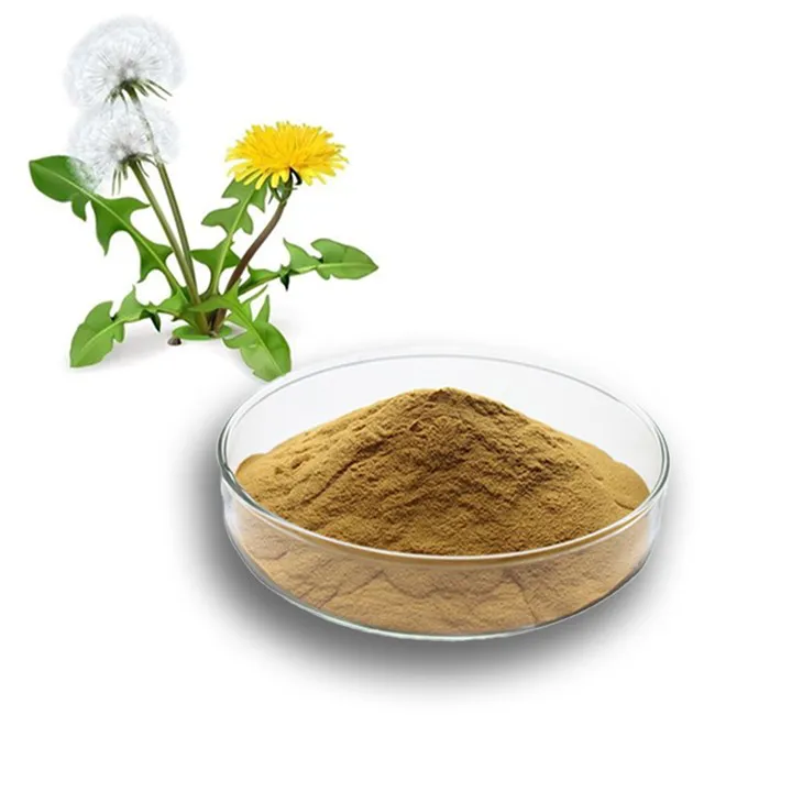 Dandelion Leaf Extract