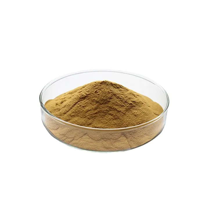 Dandelion Leaf Extract