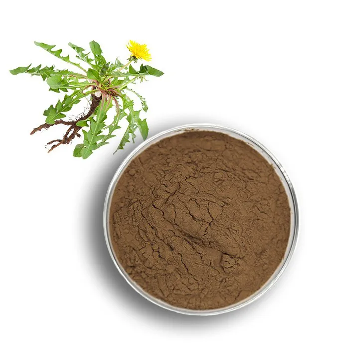 Dandelion Root Extract