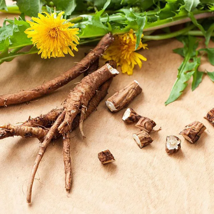 Dandelion Root Extract