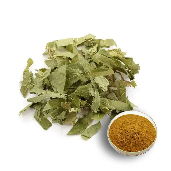 Epimedium extract powder