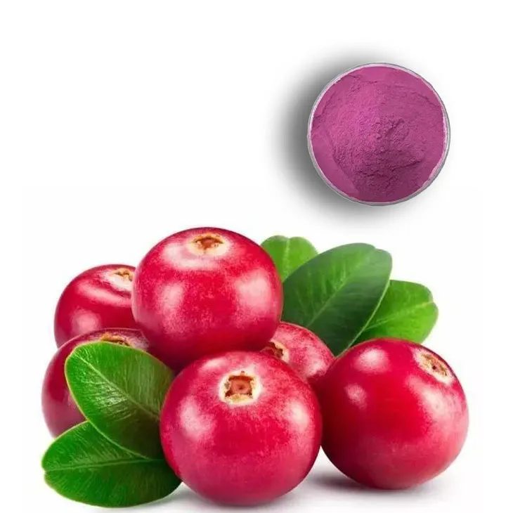 Europen Bilberry Extract