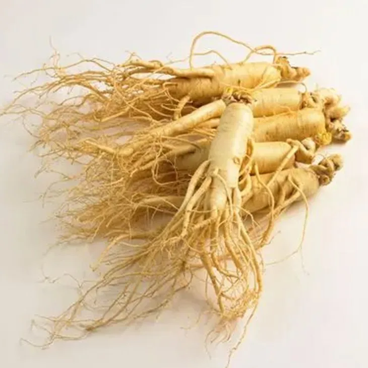 Ginseng Root Extract