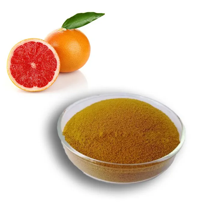 Grapefruit Seed Extract Powder