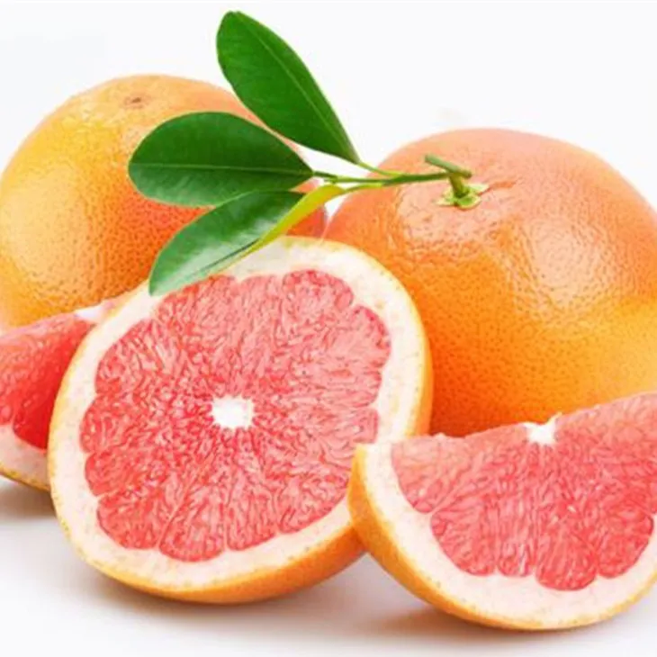 Grapefruit Seed Extract Powder