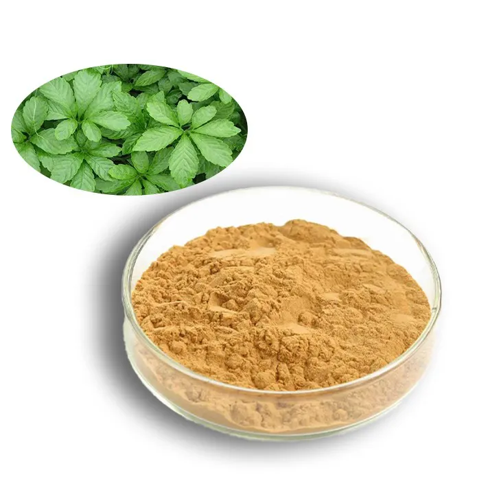 Gynostemma pentaphyllum extract