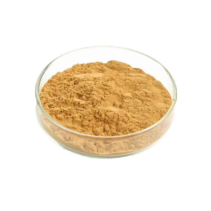 Gynostemma pentaphyllum extract