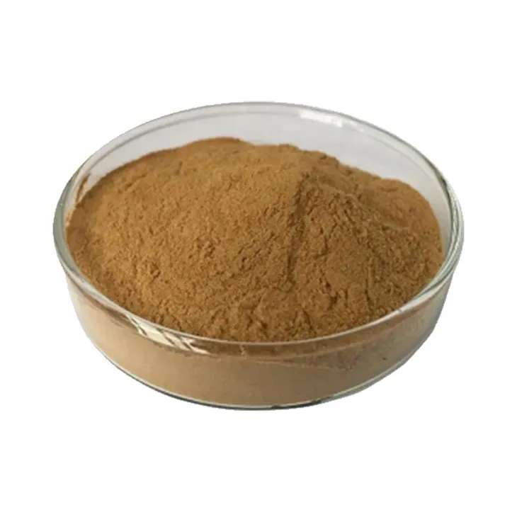 Hericium erinaceus extract powder