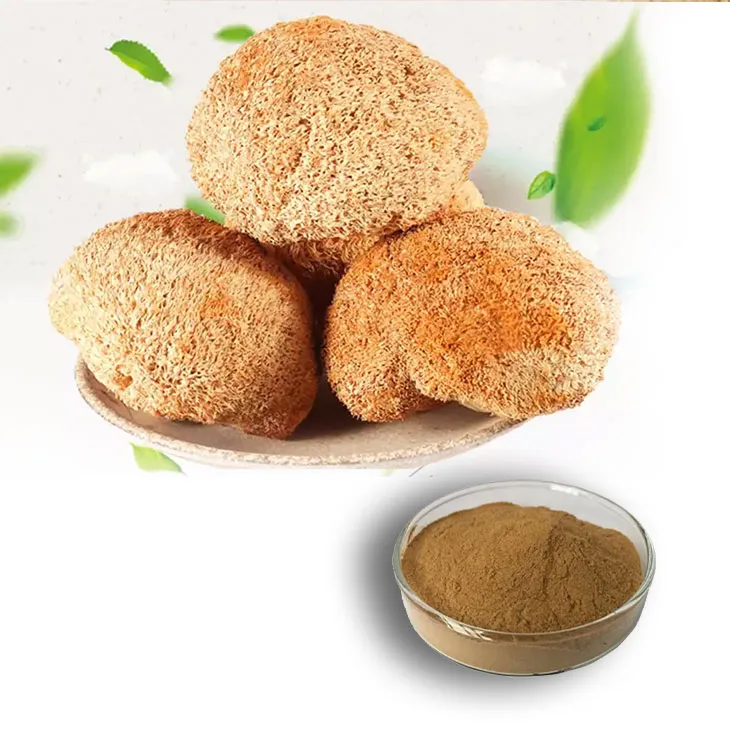 Hericium erinaceus extract powder