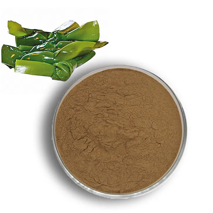 Kelp Extract Powder