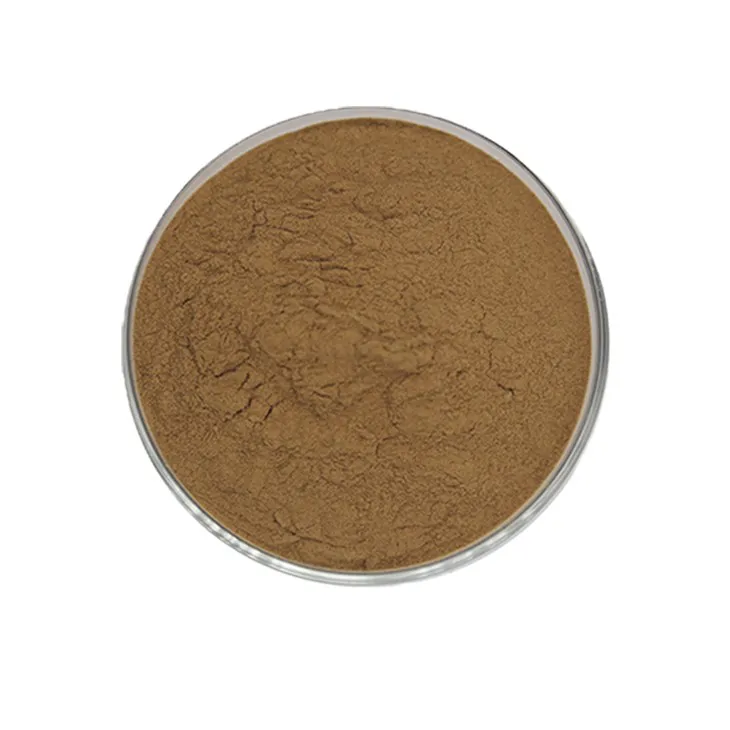 Kelp Extract Powder