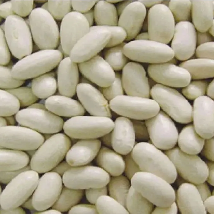 Kidney Bean Extract