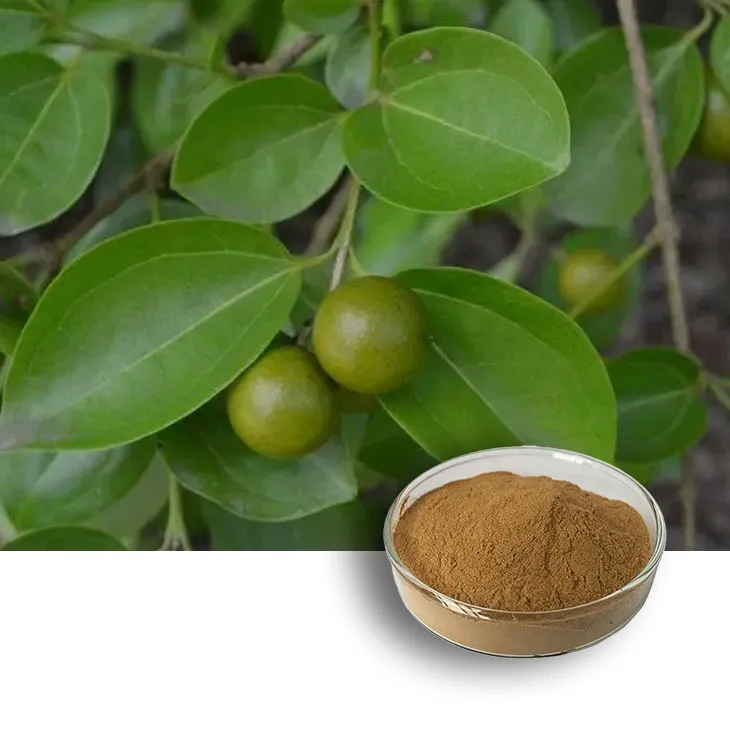 Kupilu Extract