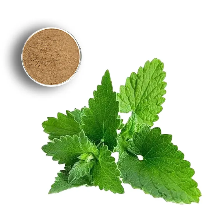 Lemon Balm Extract