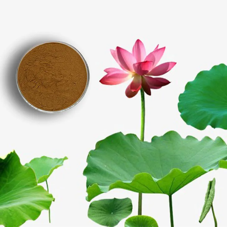 Lotus leaf extract