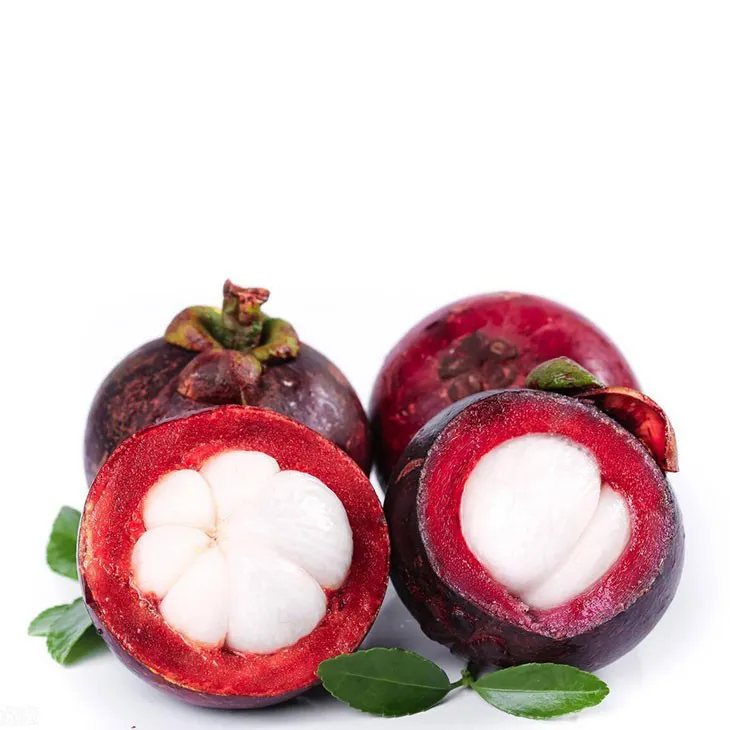 Mangosteen extract powder