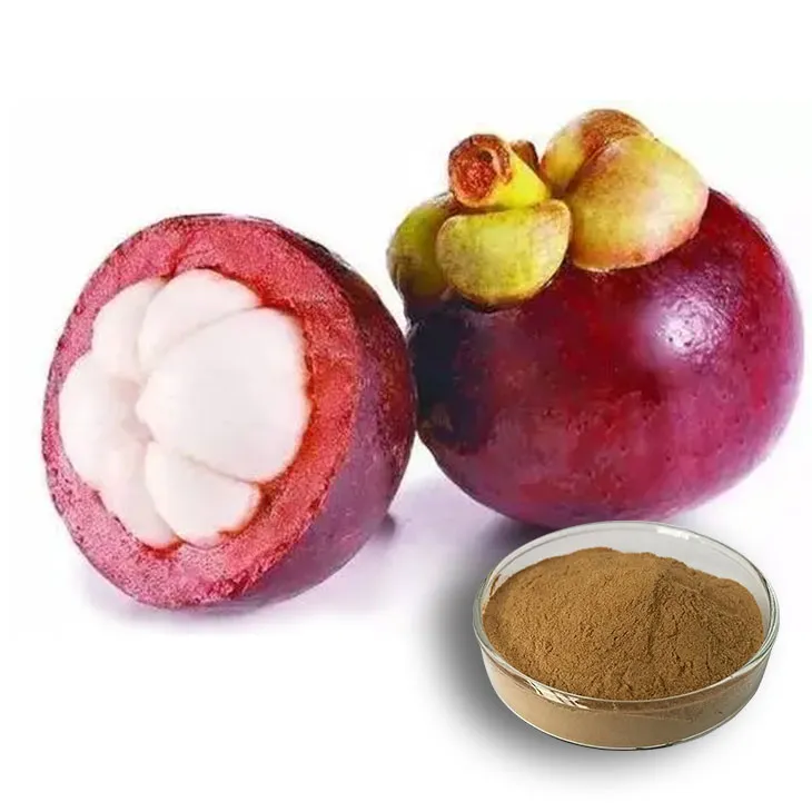 Mangosteen extract powder