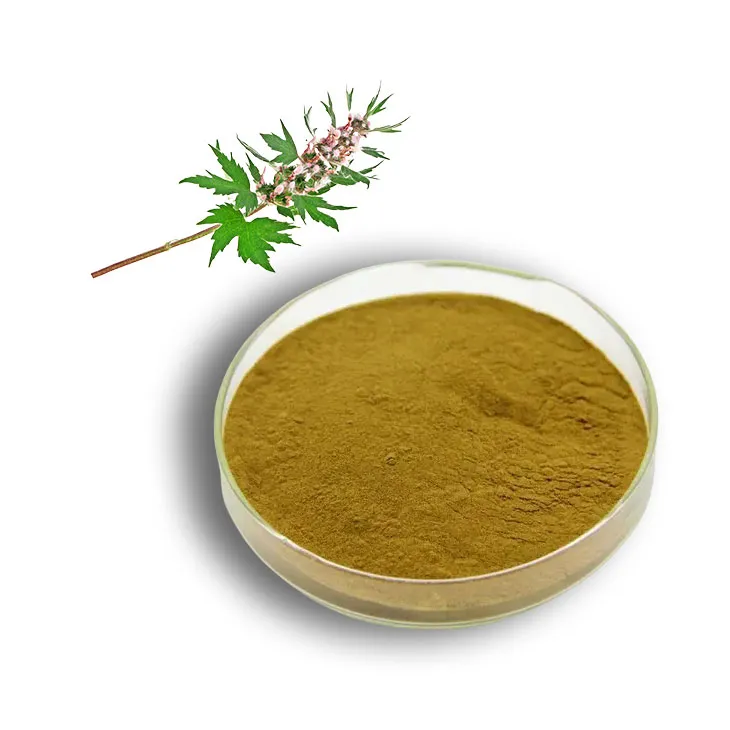 Motherwort Extract