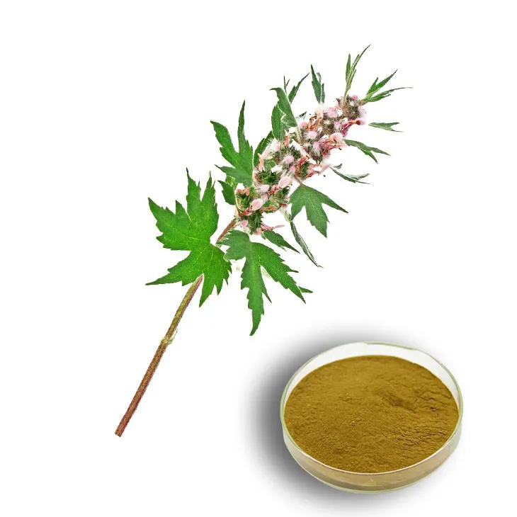 Motherwort Extract