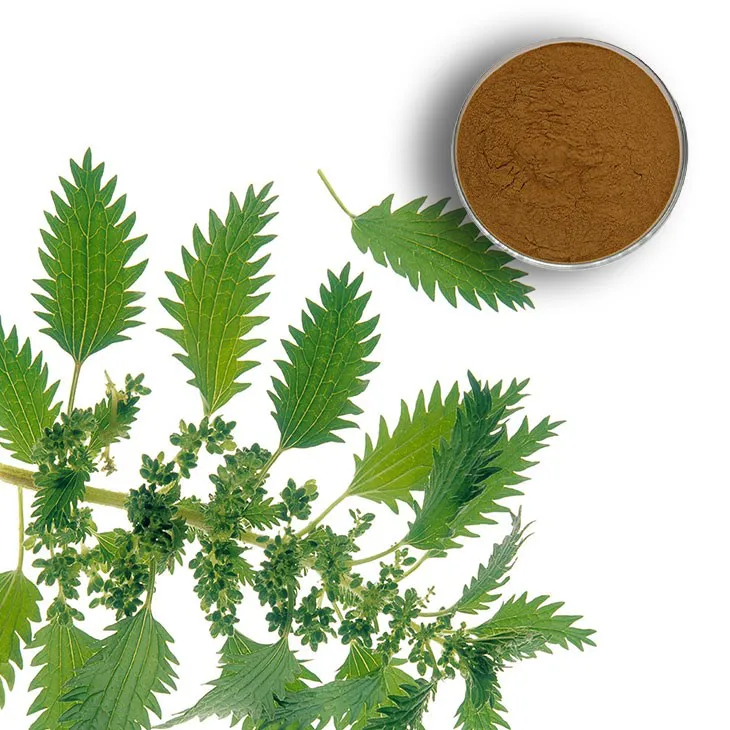 Nettle Root Extract