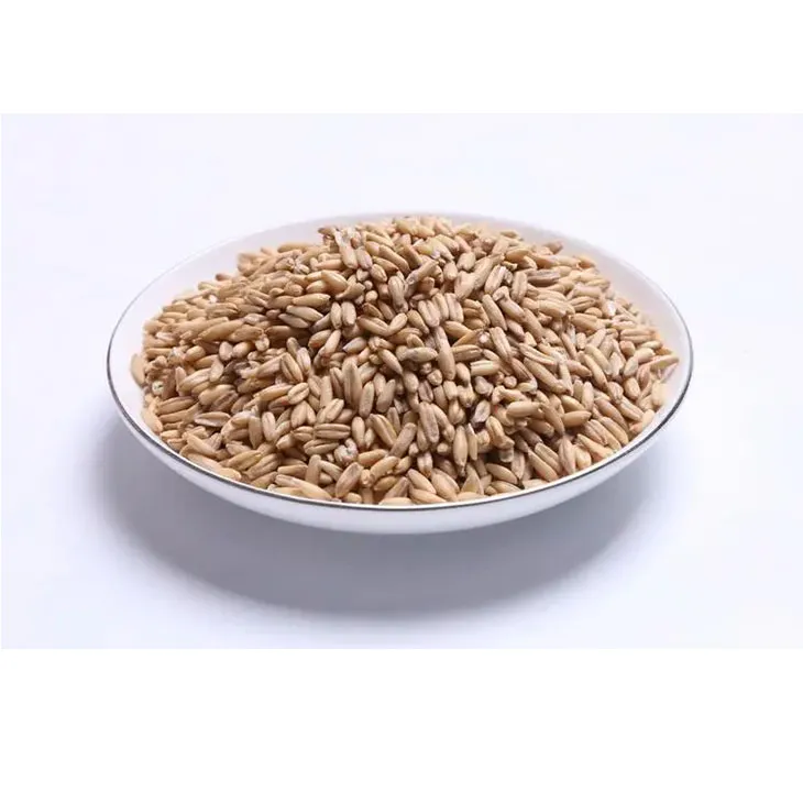 Oat Straw Extract Powder