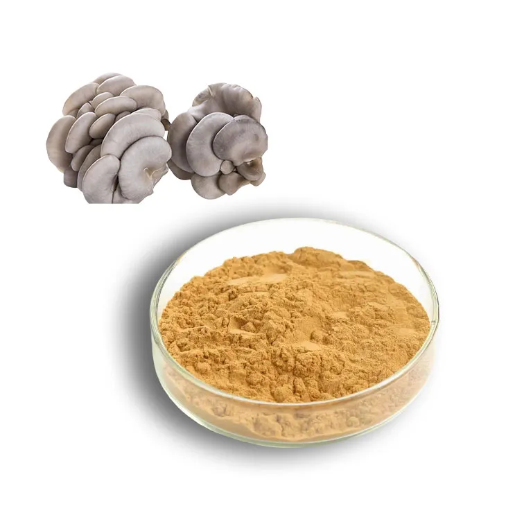 Oyster Mushroom Extract Powder