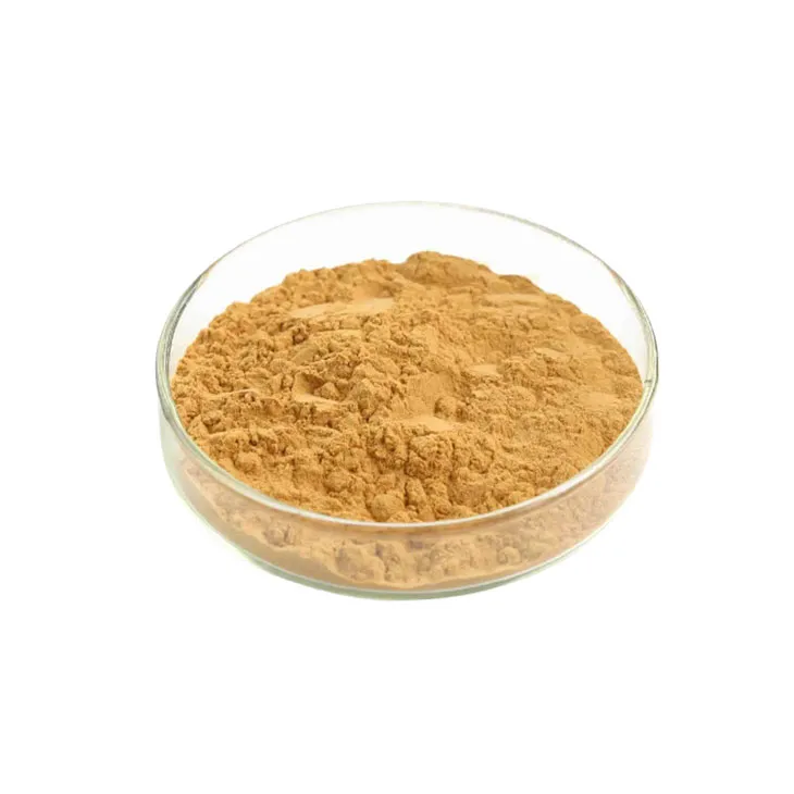 Oyster Mushroom Extract Powder