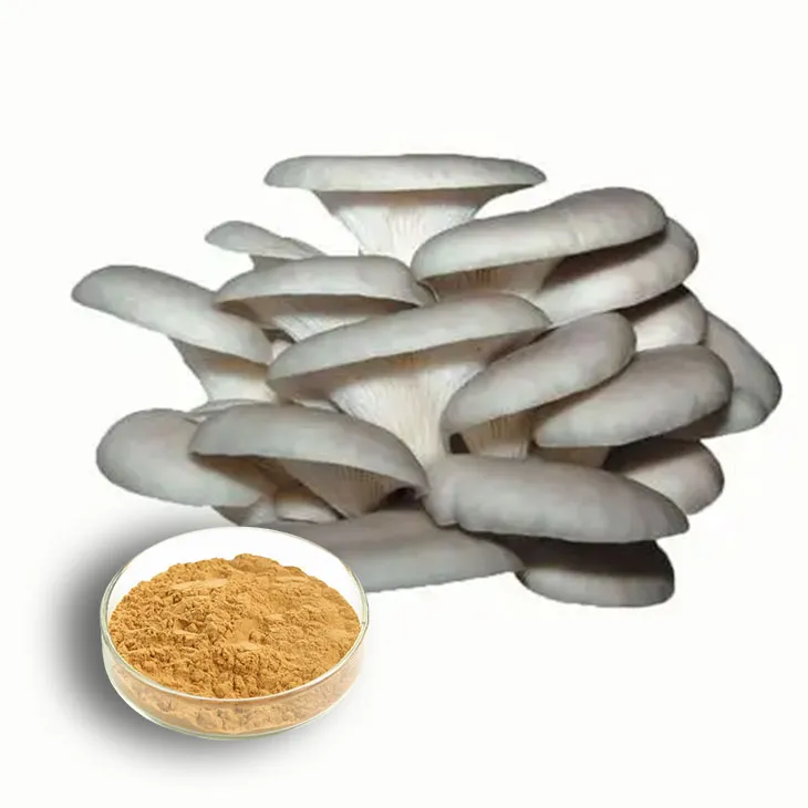 Oyster Mushroom Extract Powder