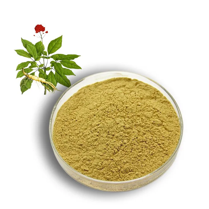 ​Panax Ginseng Leaf Extract