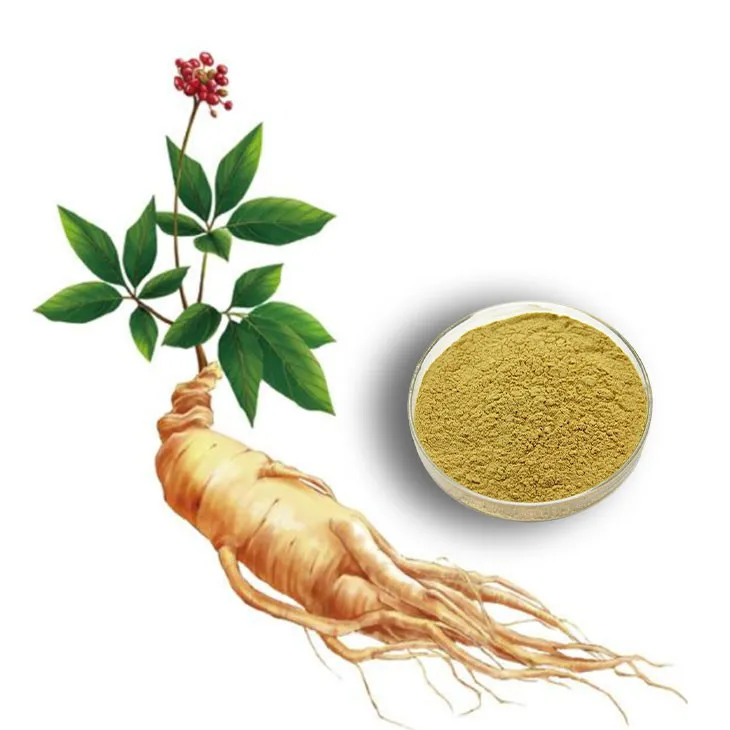 ​Panax Ginseng Leaf Extract