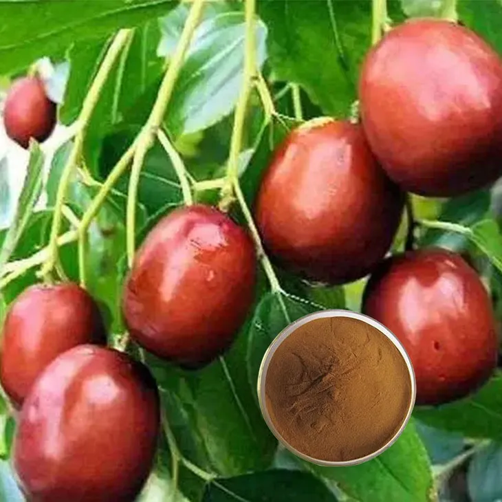 Red Date Extract