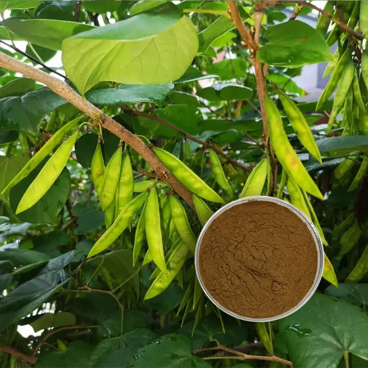 Saponin Extract