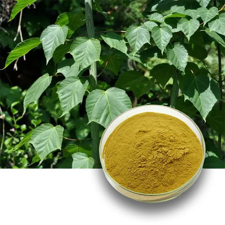 Tinospora cordifolia extract