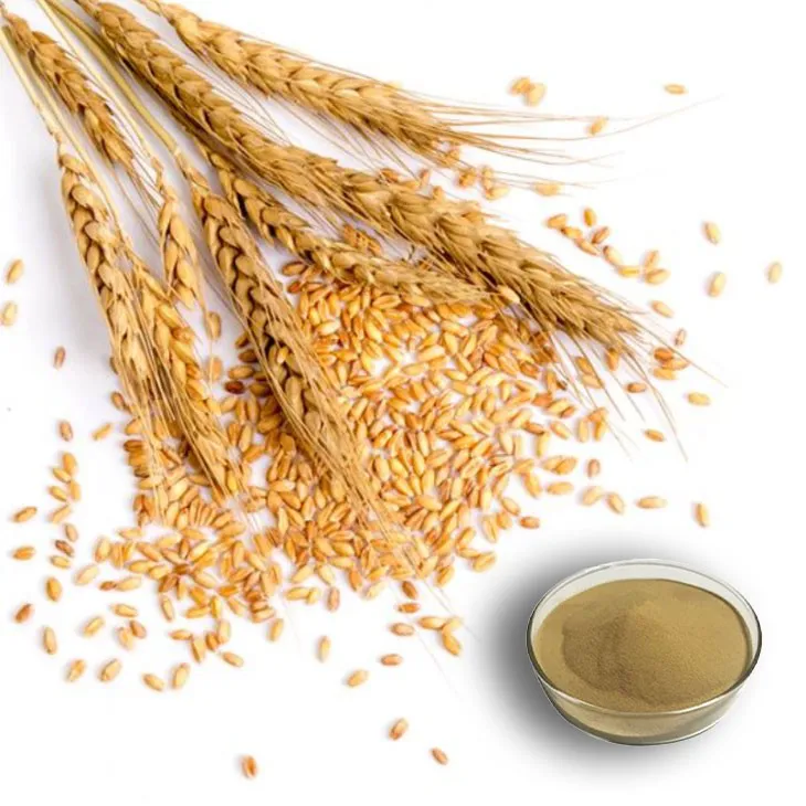 Wheat Germ Extract