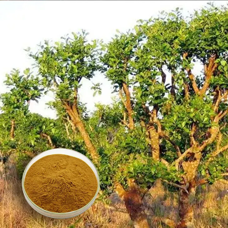 Yohimbine Bark Extract