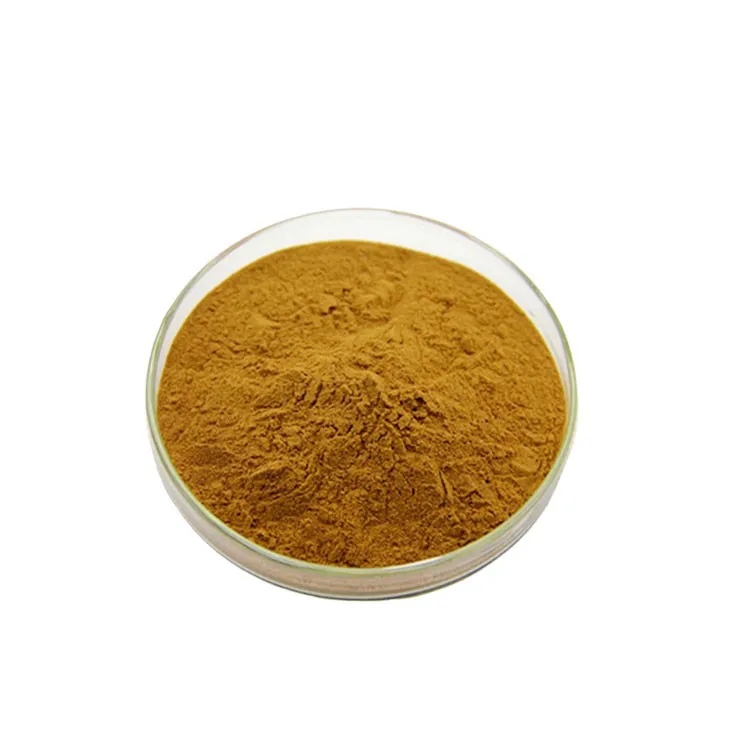 Dan Shen Root Extract/Salvia Root Extract