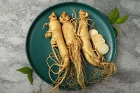 Unlocking Ginseng's Genetic Secrets: A Path to Enhanced Medicinal Cultivation